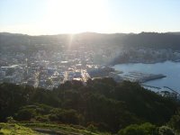 Wellington vom Mount Victoria